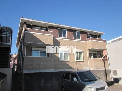 リアン樹の画像