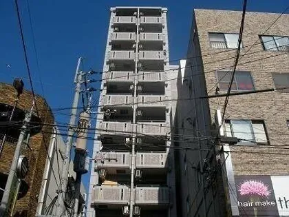 パインストン今泉の画像