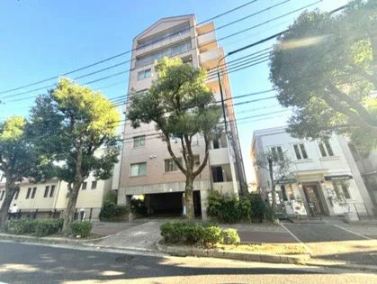 シェヌーア御影の画像