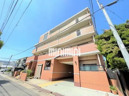 PHOENIX ORIDOの画像