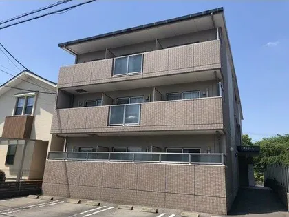 エーデルワイスの画像