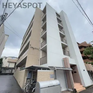 ウィル猫洞の画像