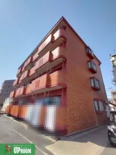 サンテラス花の木の画像