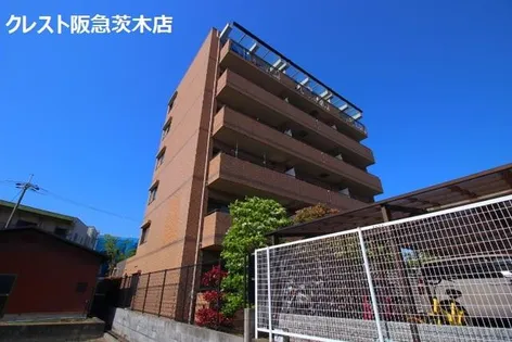 ショーシコン壱番館の画像