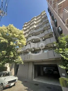 シンセリティ野中の画像