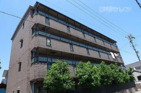 メゾン名北【4階】の外観