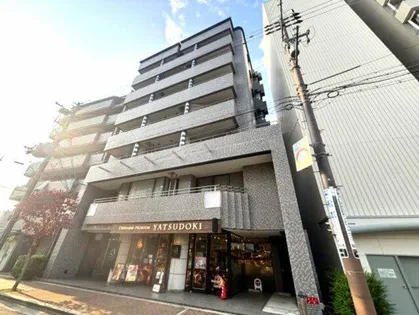 PACE MIKAGEの画像