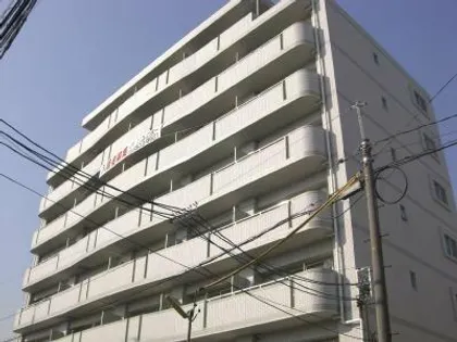 ホワイトドエル道徳の画像