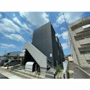 SIETE VERANOの画像