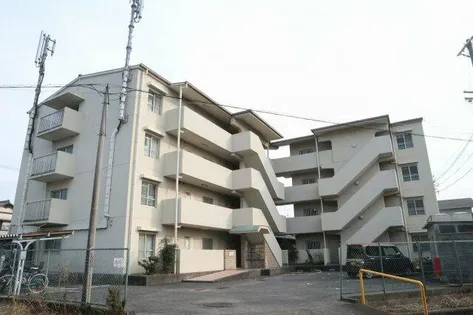 ヤマイチPLAZAシカゴの画像