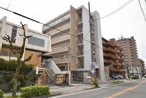 ウィル猫洞の画像