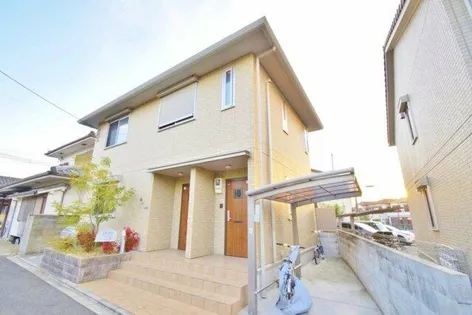 セイス藤貴の画像