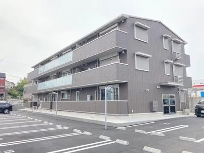 SAKURAの画像
