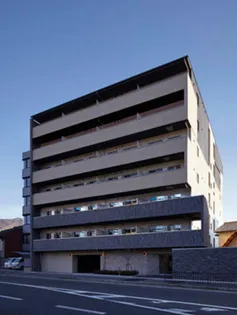 レグルスの画像