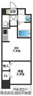 エンブレイス大橋南【3階】の間取り