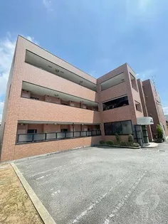 サングレイスIIの画像