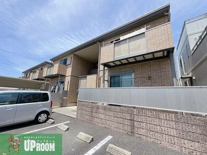 グリーンシード Cの画像