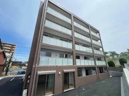 ウィッチヘーゼルの画像