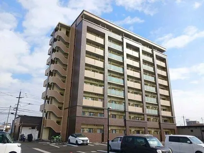 エヴァーグリーンOの画像