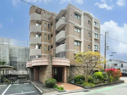 ソラル エネの画像