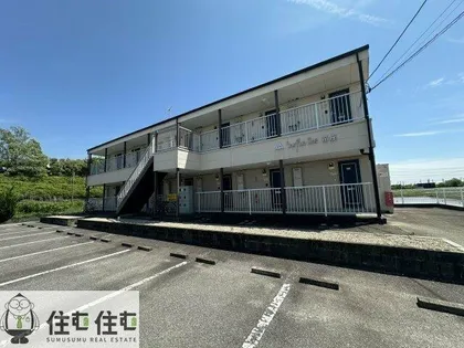 SURPLUS ONE 苗座の画像