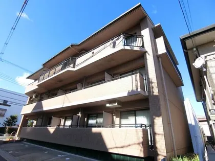 コート アネックスの画像