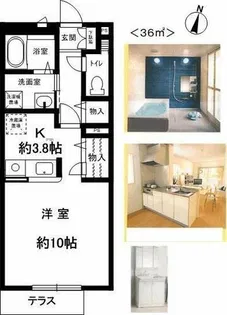 ビバーチェ住吉【1階】の間取り