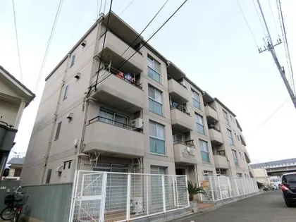 プロックコートの画像