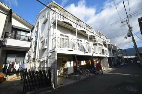 フォーレスト1の画像