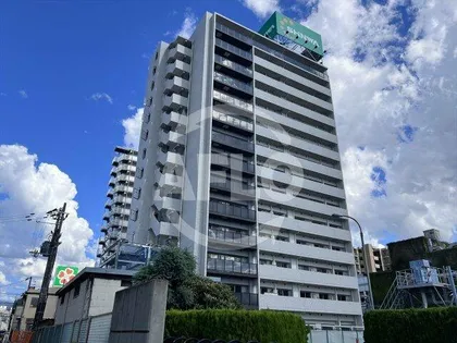 グランカーサ高井田【11階】の外観