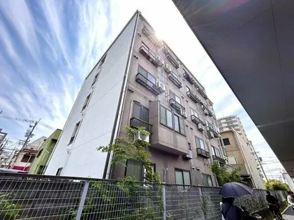 ブルージェつばきの画像