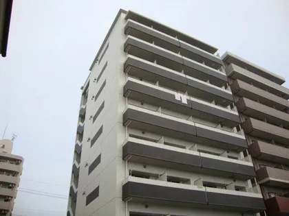 シグナスの画像