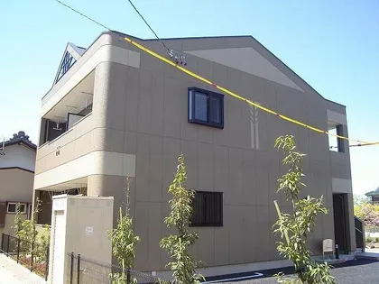 グレースの画像