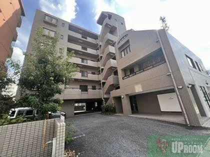 グリーンオークの画像