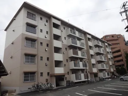 福岡県福岡市南区向新町1丁目【マンション】の外観