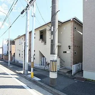 シャムロック桜の画像