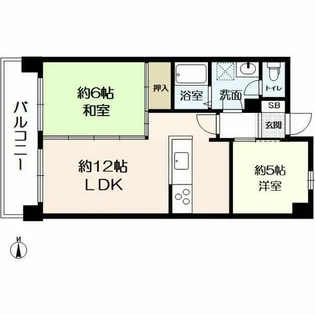 メイゾン桂東【5階】の間取り