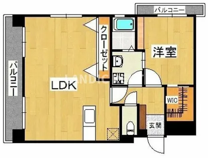 カーサ・マリー【2階】の間取り