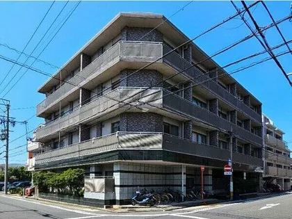サンドリヨンゴキソの画像