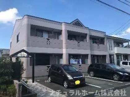 スプリングスの画像