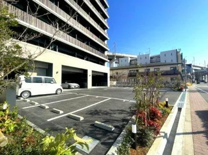 スプランディッドVIIIの画像