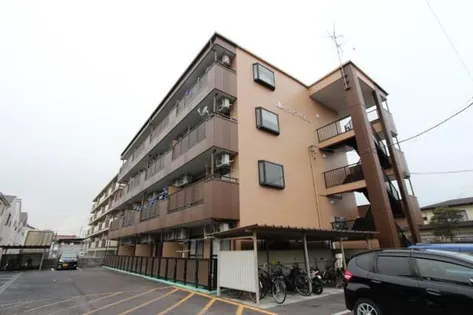 リンピア牟都志の画像