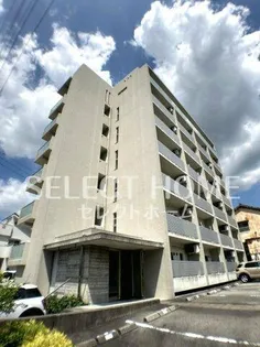 ラフィナート南明大寺【102号室】の外観