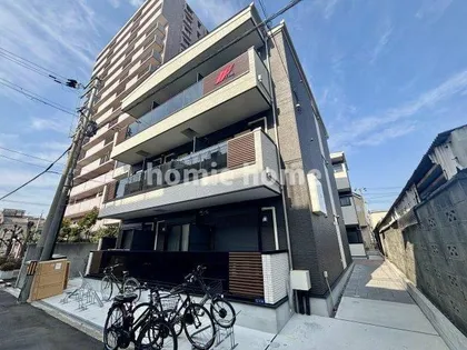 ホークシームの画像