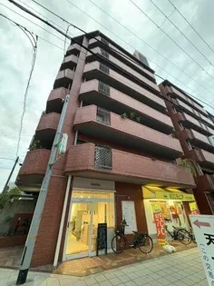 ノバカネイチ堂ヶ芝【2階】の外観