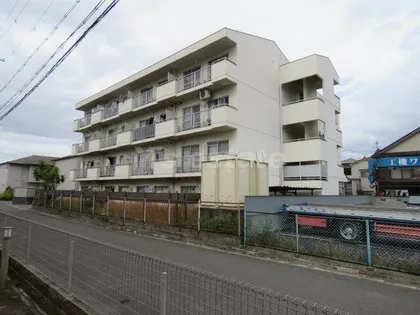 エルヴィラの画像