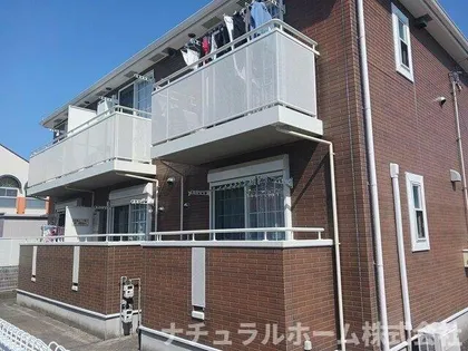GLORY蘭の画像