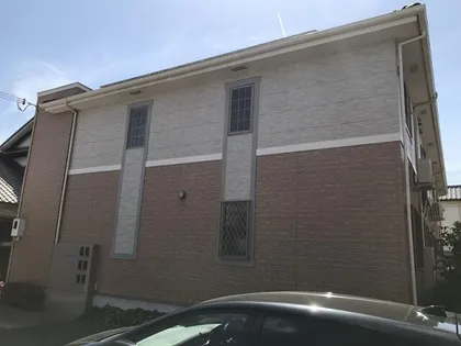 ポーチュラカの画像