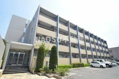 カーサリーヴァドゥーエの画像