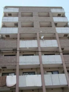 エテルノヨシダの画像